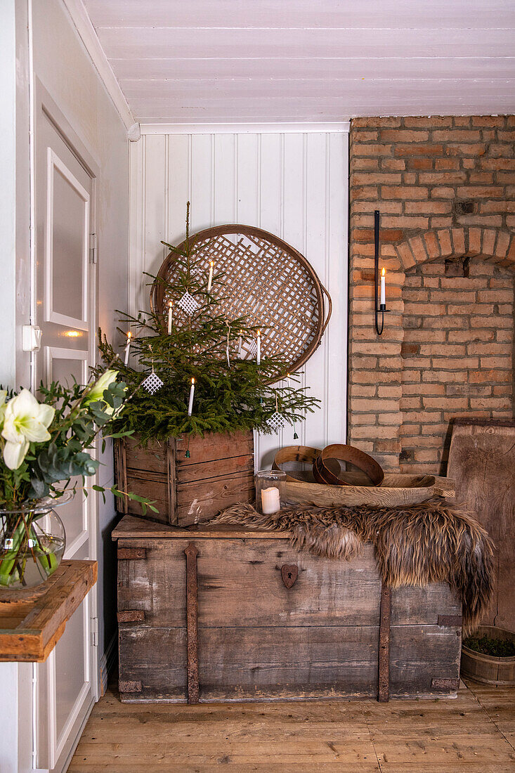 Rustic decoration with fir tree on wooden chest