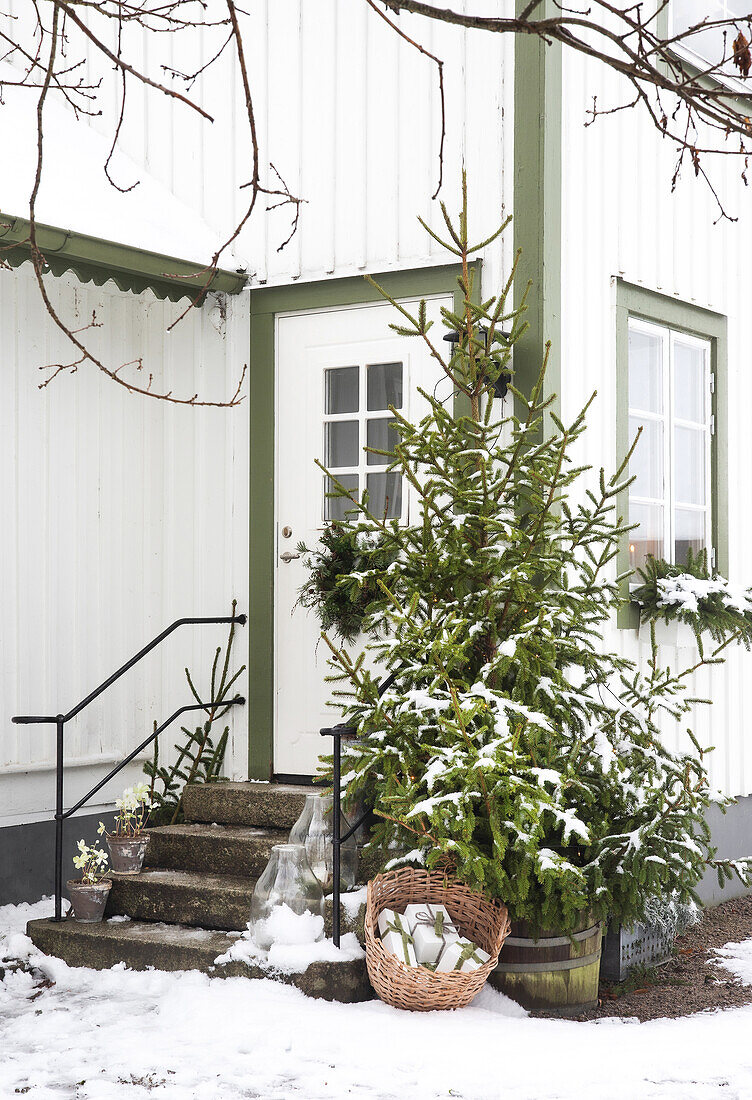 Snow-covered house entrance with fir tree and winter decorations