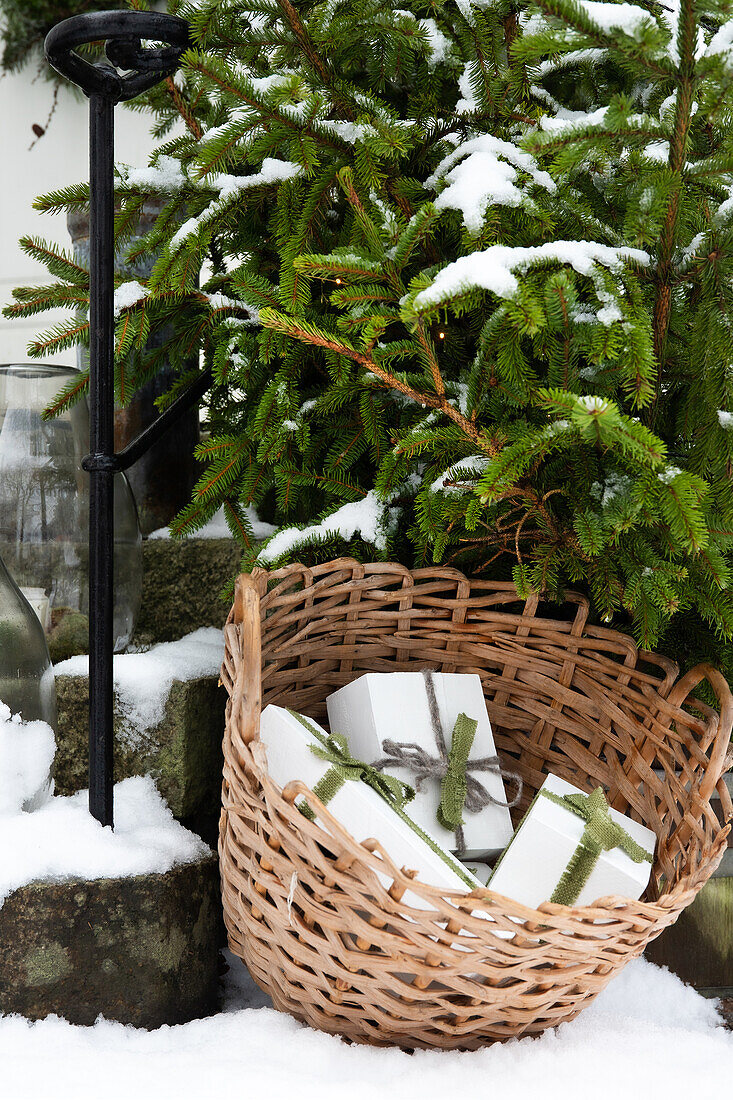 Geschenkkörbchen mit Präsenten neben Tannenbaum im verschneiten Garten