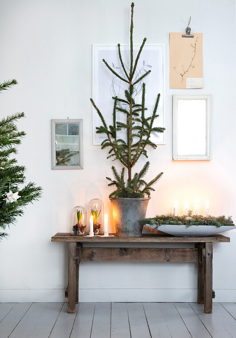 Holztisch mit Adventsgesteck, Kerzen und Tannenbaum im Zinkeimer