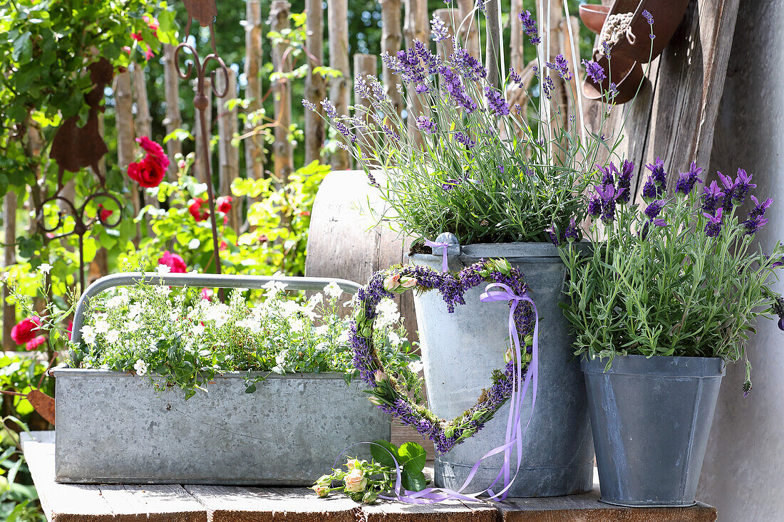 Zinkkübel mit blühendem Lavendel und Herzen-Deko im sommerlichen Garten