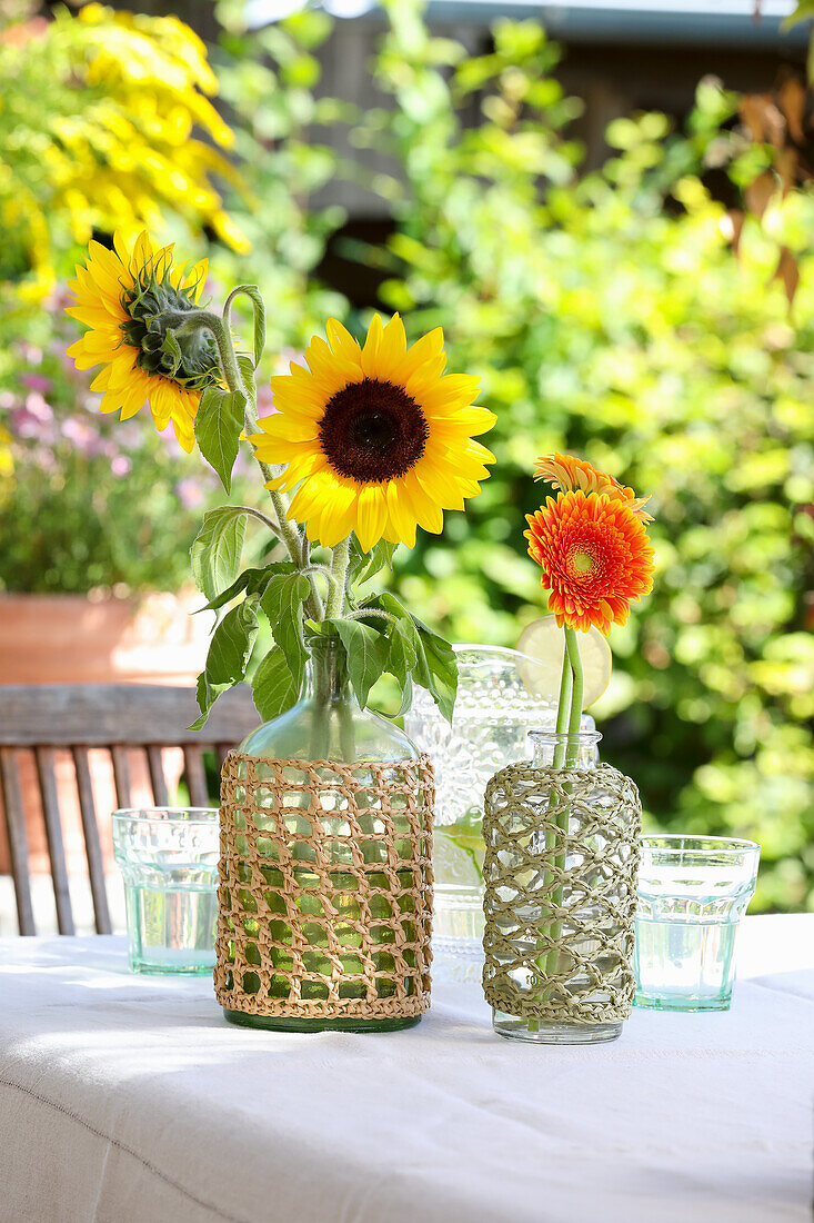 Sunflowers (Helianthus) and gerberas in macramé glass vases on garden table