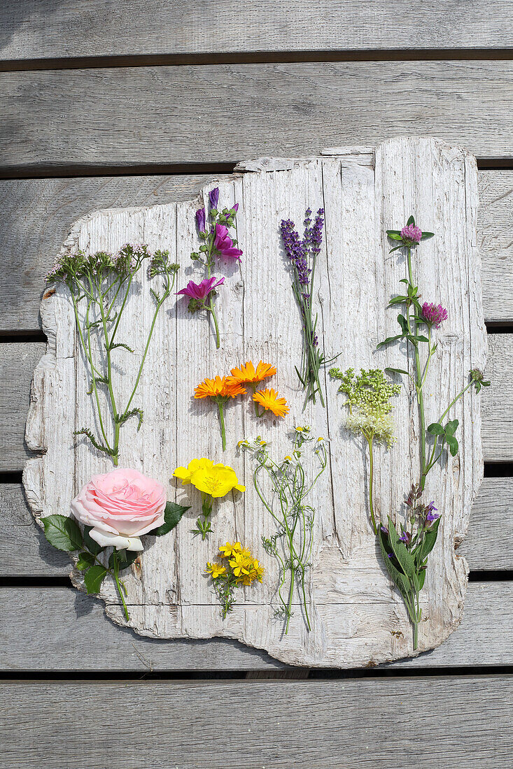 Verschiedene Gartenblumen auf rustikalem Holzbrett arrangiert auf Holzterrasse