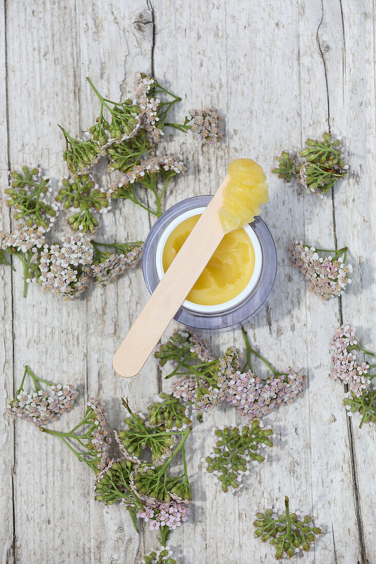 Selbstgemachte Salbe mit frischen Schafgarbenblüten auf Holztisch