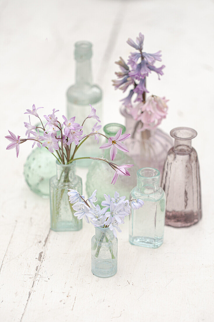 Vorfrühlingsblumen in kleinen farbigen Glasflaschen arrangiert