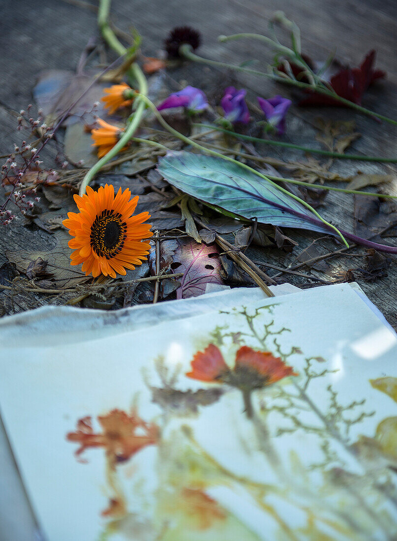 Getrocknete Blumen und Blätter mit bedrucktem Papier