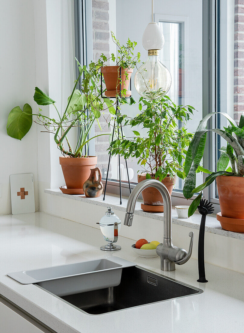 Kitchen windowsill with various houseplants and modern tap