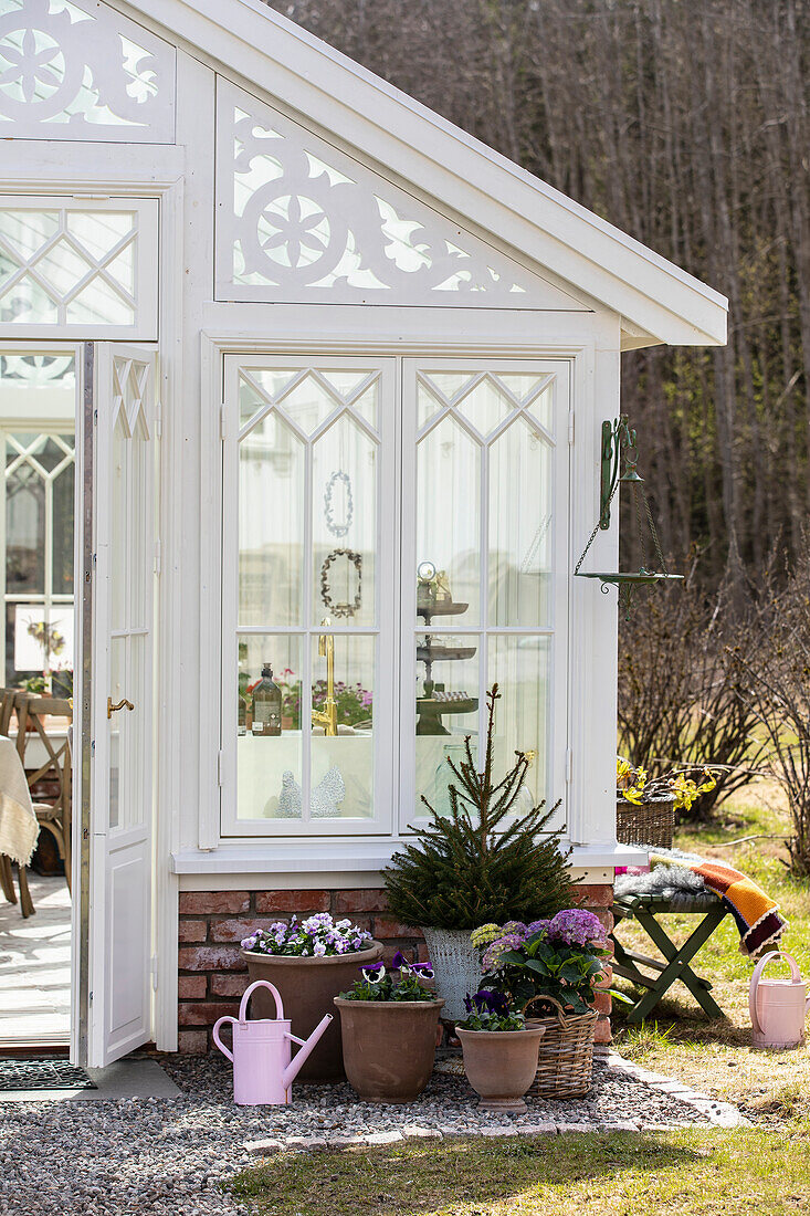 Spring-like floral decoration and small fir tree in front of Victorian greenhouse in the garden