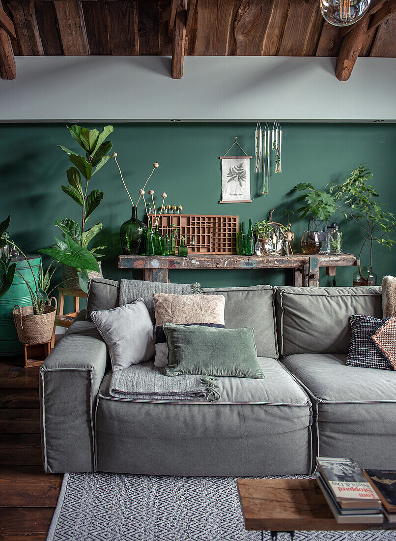 Living room with grey sofa, green accent wall and lots of plants