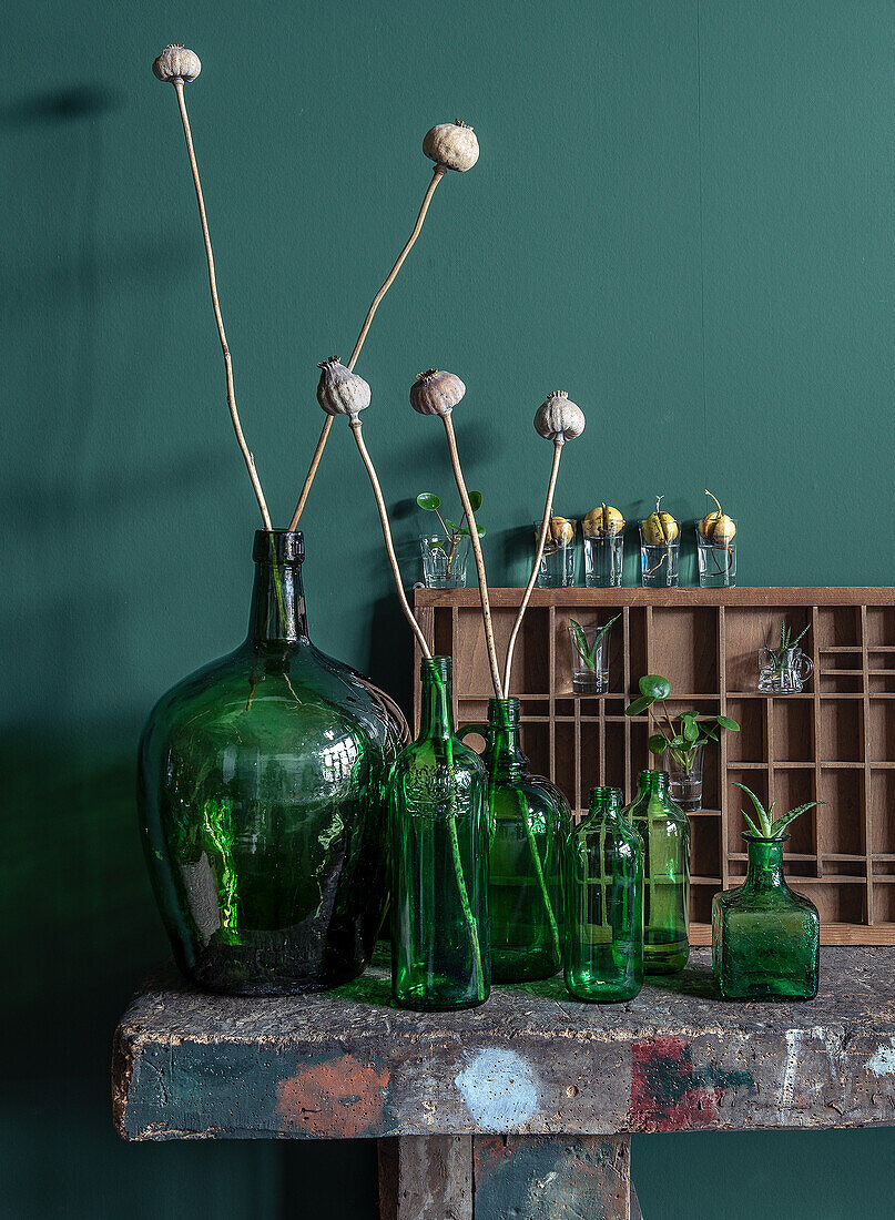 Green glass bottles with dried flowers on a rustic table in front of a green-painted wall