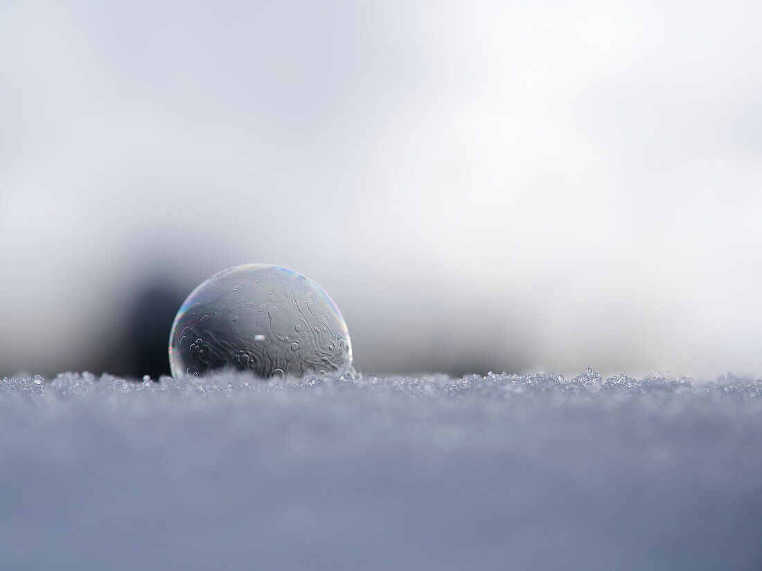 Soap bubble frozen in the snow