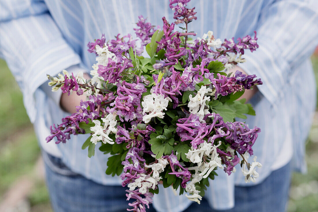 Frau hält Blumenstrauß aus Lerchensporn (Corydalis) in Weiß und Lila