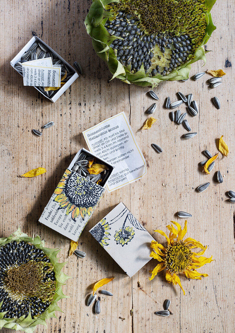 Sunflower seeds in matchboxes on a rustic wooden table