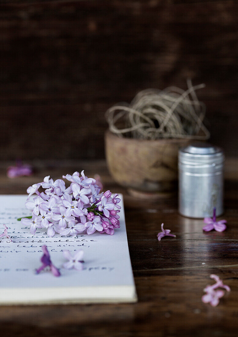 Blüten von Flieder (Syringa vulgaris) auf einem handgeschriebenen Brief vor Holzhintergrund