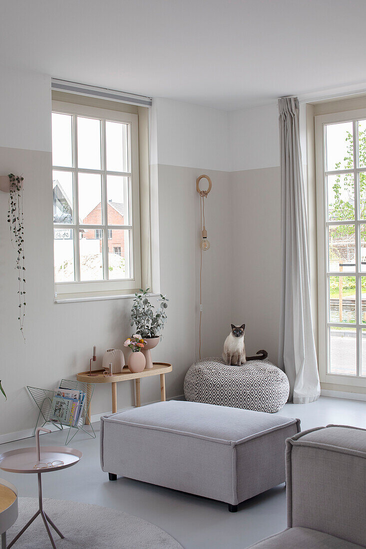 Helles Wohnzimmer mit großen Fenstern, grauen Sitzmöbeln und Katze auf Pouf