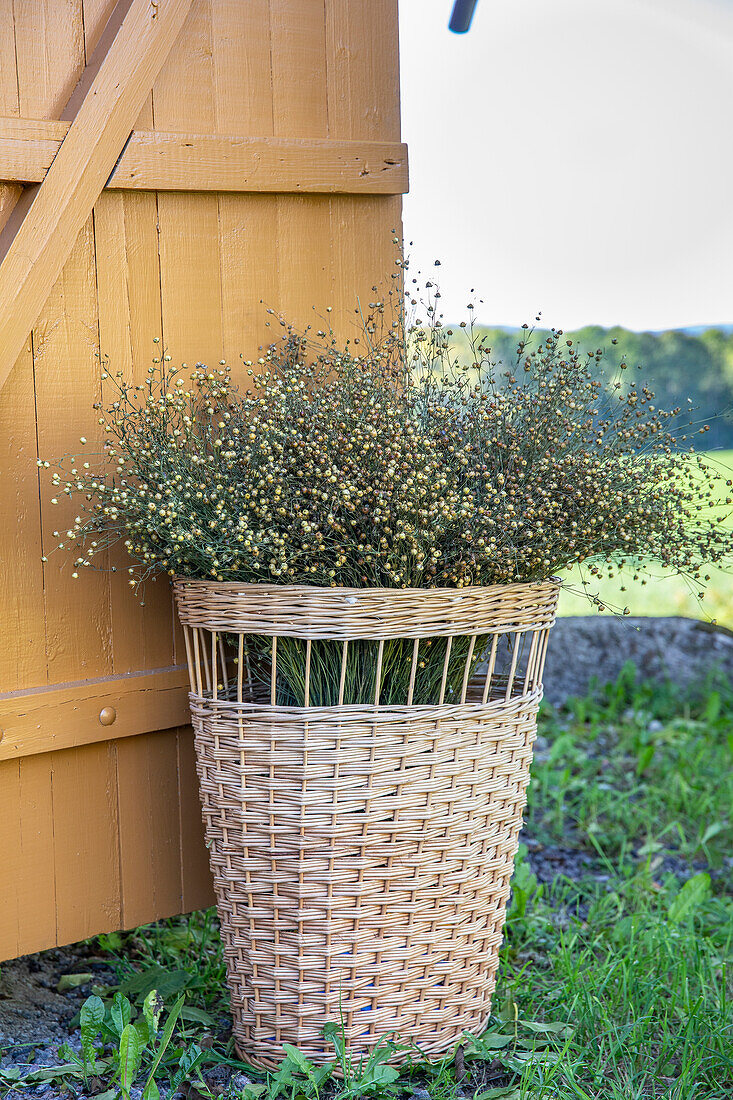 Woven basket with dried flowers next to a wooden door in the garden