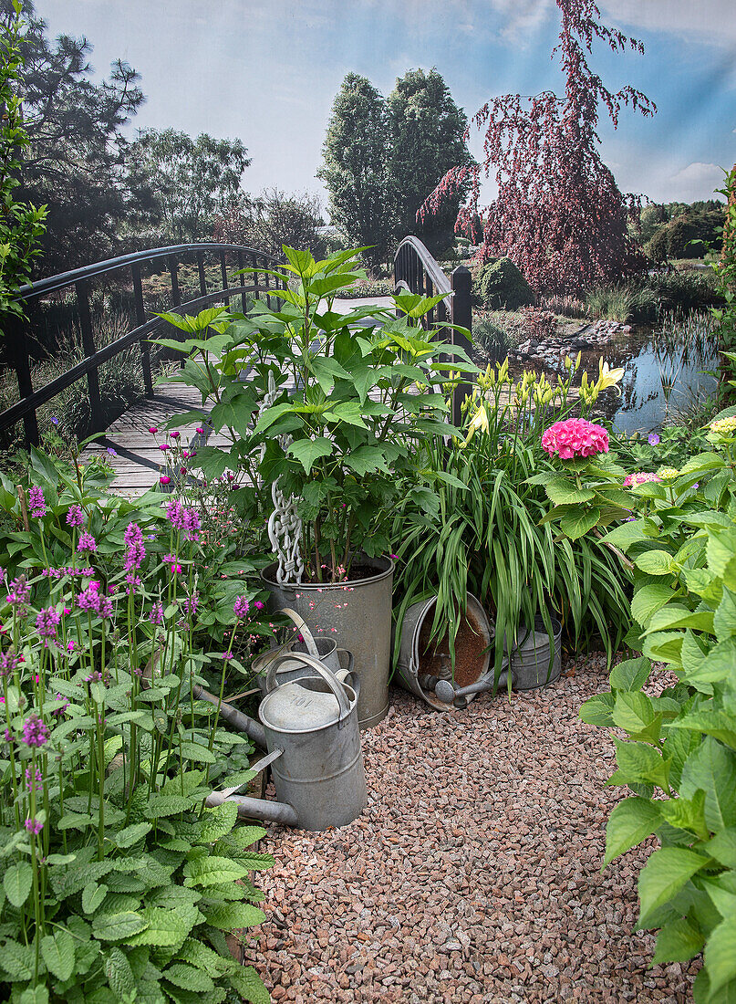 Lush plants in zinc tubs on gravel path in front of a bridge