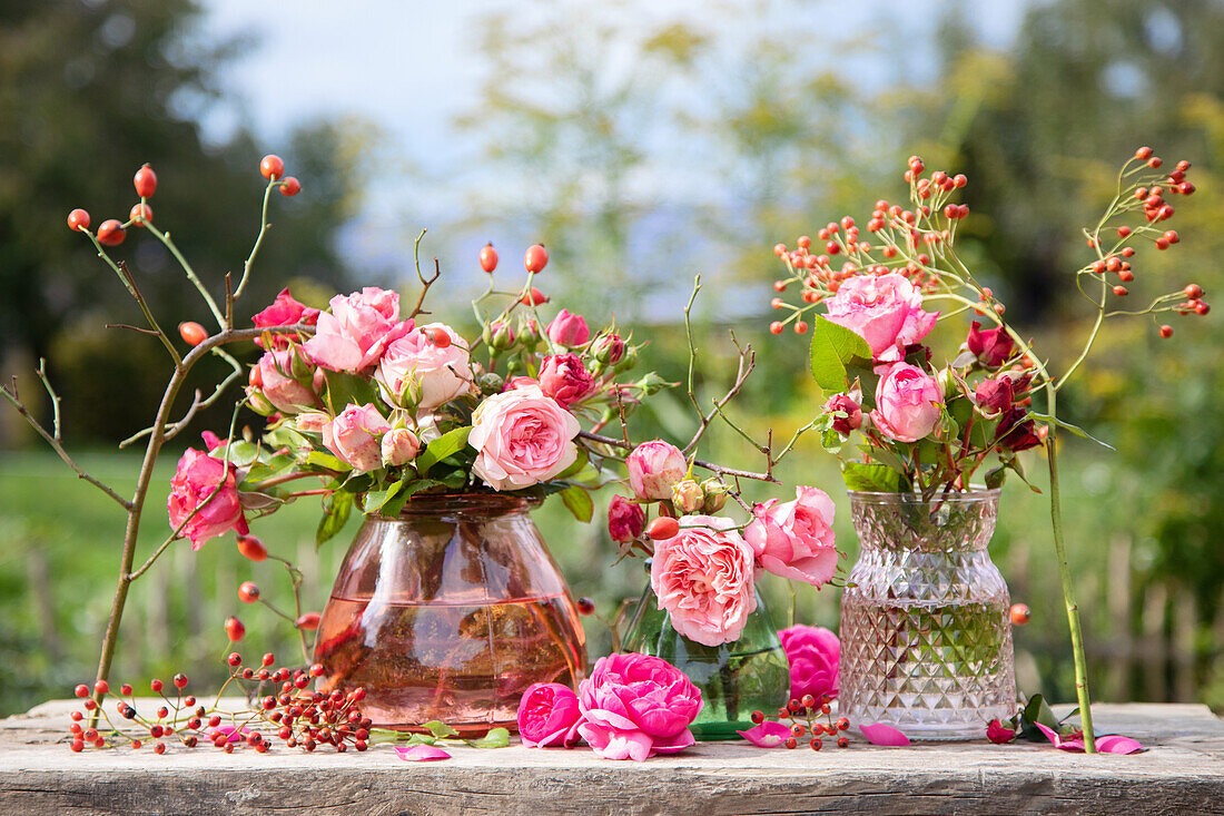 Verschiedene Rosensträuße (Rosa) und Hagebutten in Glasvasen auf Holztisch im Garten