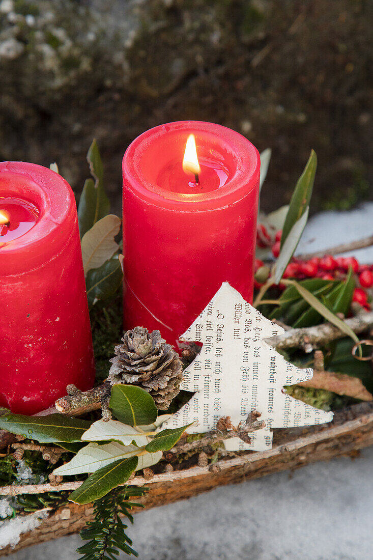 Rote Kerzen und Tannenzapfen mit Zweigen und Papierdeko auf Baumrinde