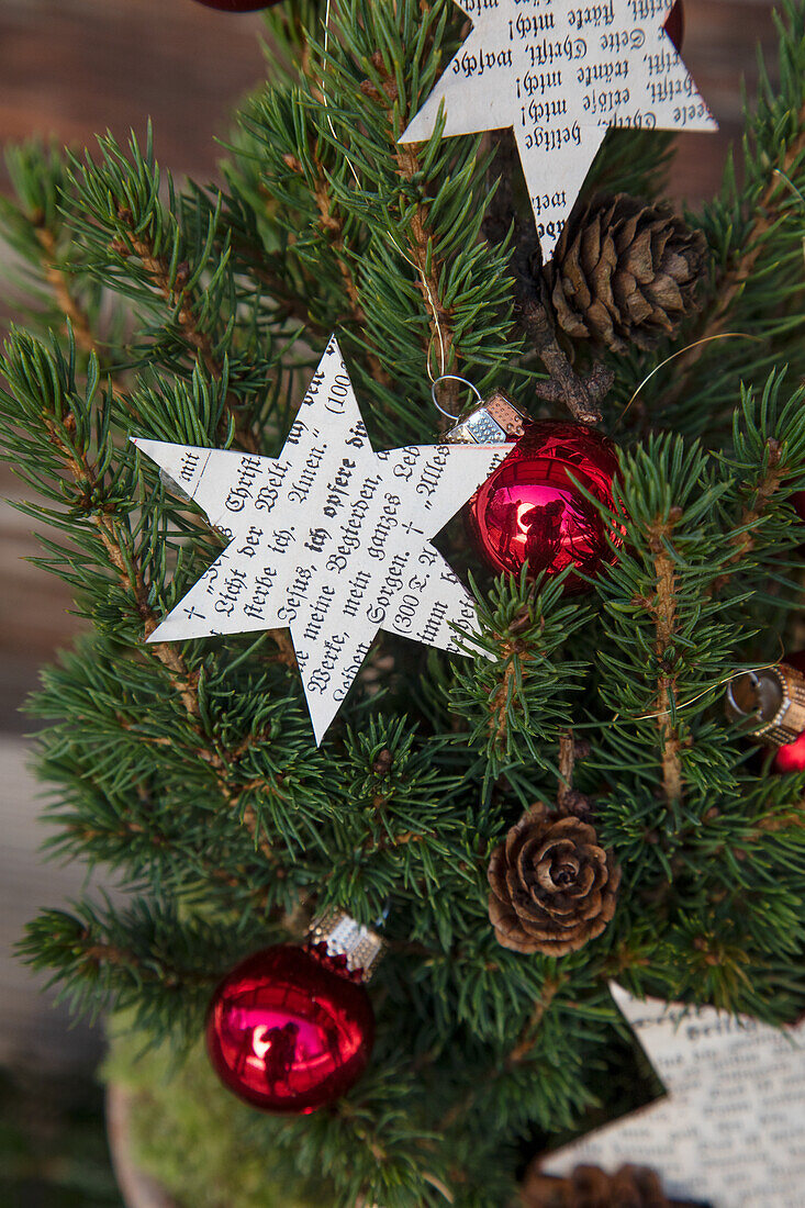 Mini tree decorated for Christmas with paper stars and red baubles