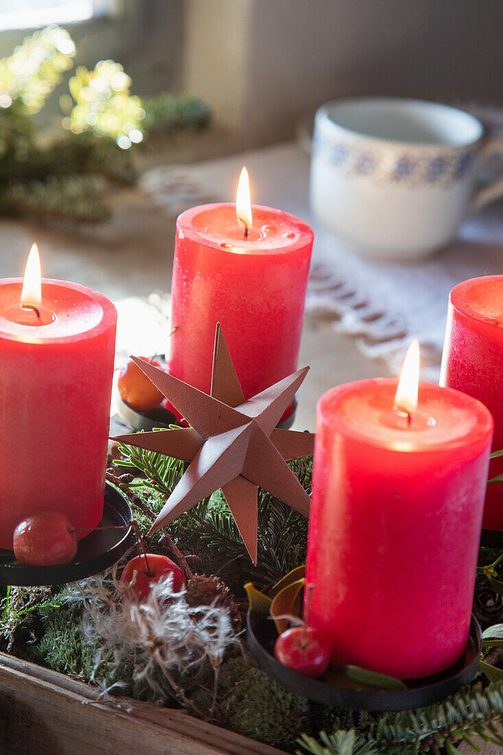 Advent wreath with red candles and star decoration on a bed of moss