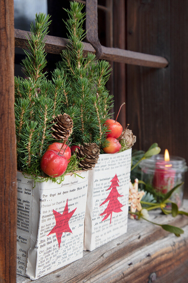 Weihnachtliche Fensterdeko: Mini-Tannen mit Zapfen und Äpfel in Zeitungsübertöpfen