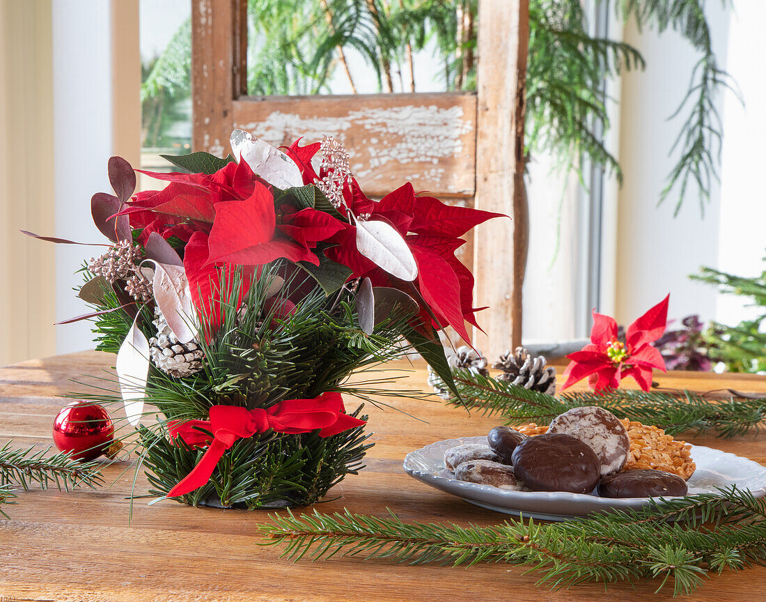 Weihnachtlicher Tischschmuck mit Weihnachtsstern (Euphorbia pulcherrima) und Gebäck auf Holztisch