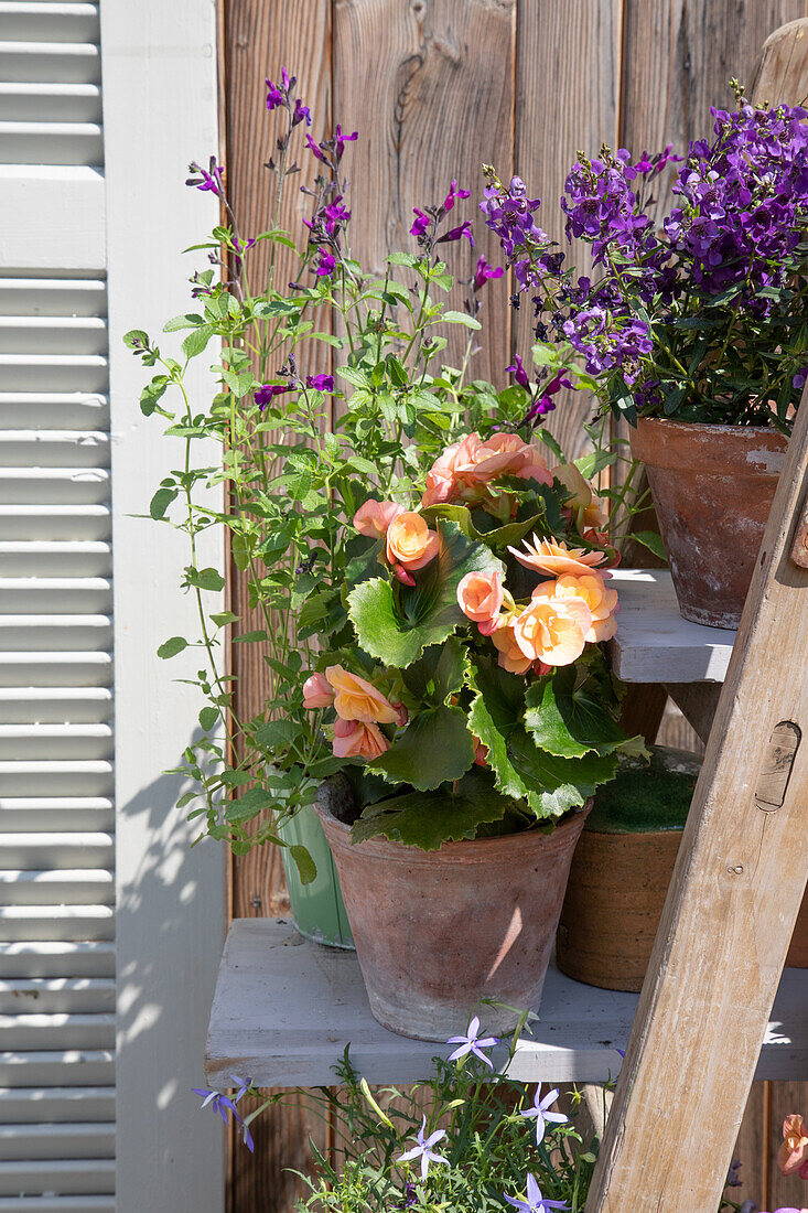 Blumenarrangement auf Holzregal im sommerlichen Garten