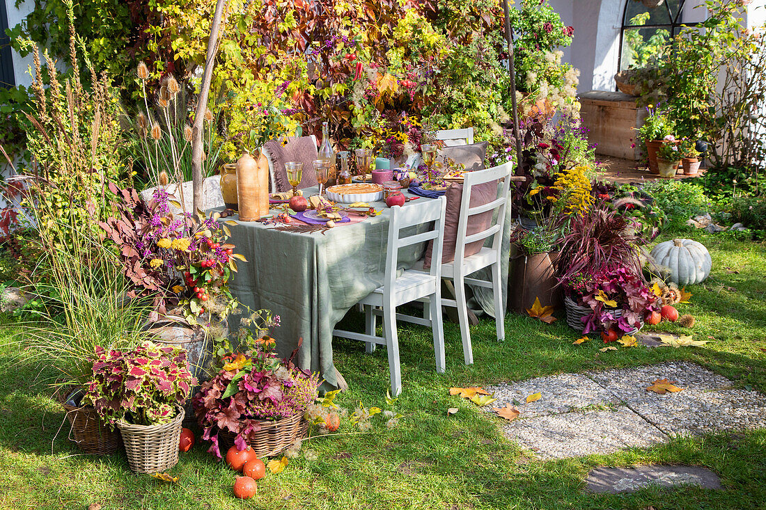 Herbstlich gedeckter Tisch mit Pflanzenarrangements im Garten