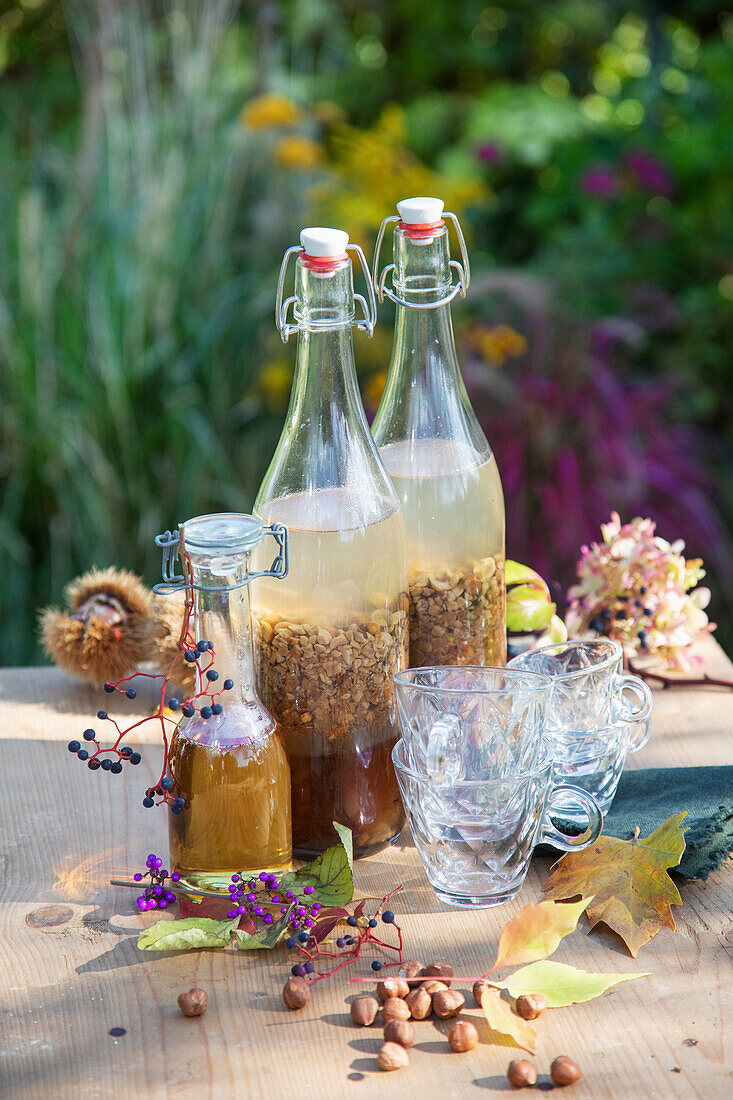 Homemade nut liqueur in glass bottles on a wooden table in the garden