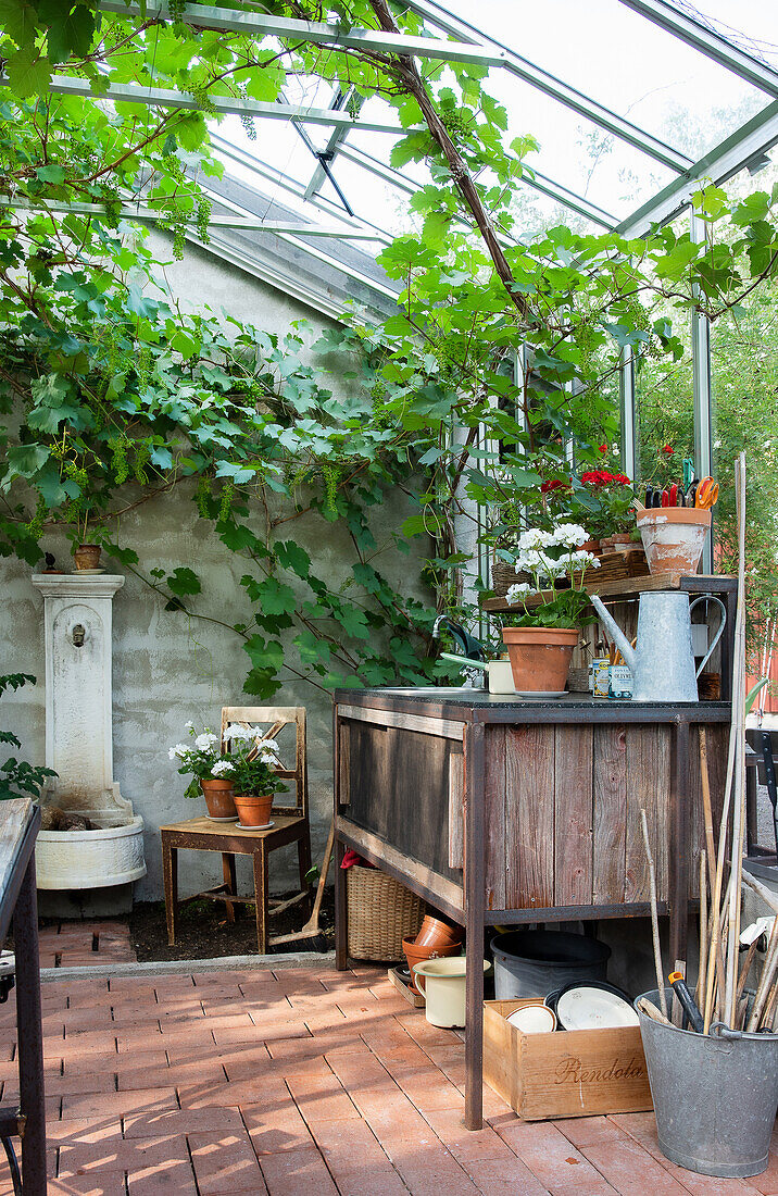 Well-kept greenhouse with gardening table and wild vine