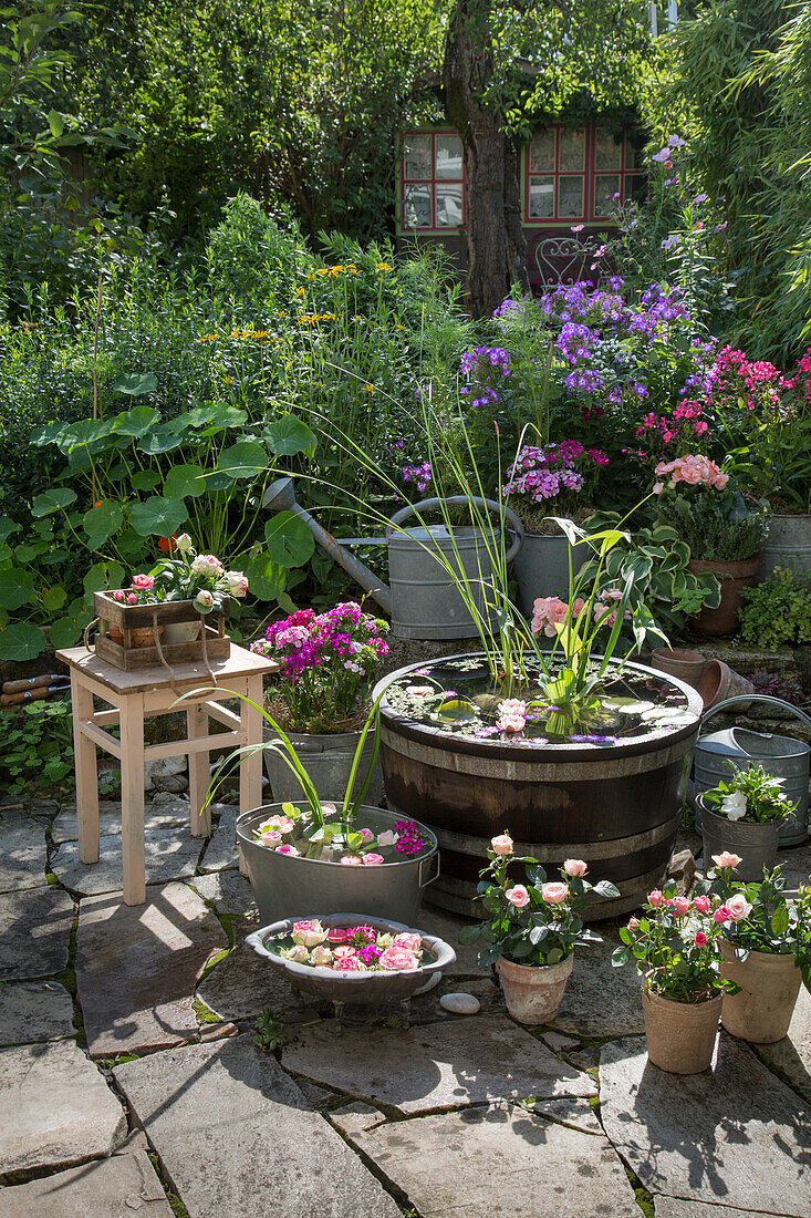 Idyllischer Miniteich mit Sommerblumen im heimischen Garten