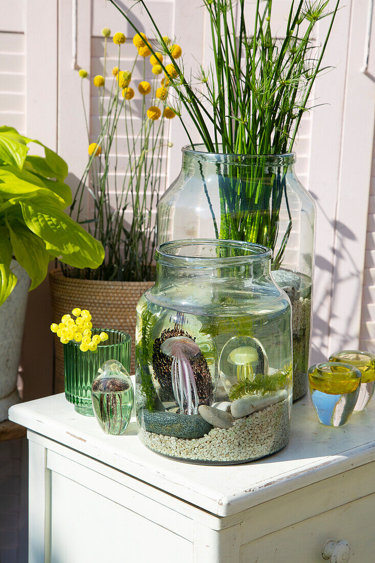Miniteich im Glasgefäß mit Kies und Pflanzen auf einer weißen Gartenkommode