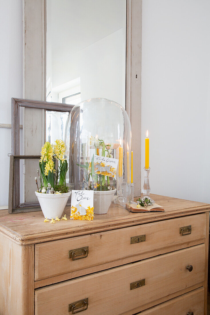 Spring decoration with hyacinths, glass bell jar and yellow candles on a wooden chest of drawers