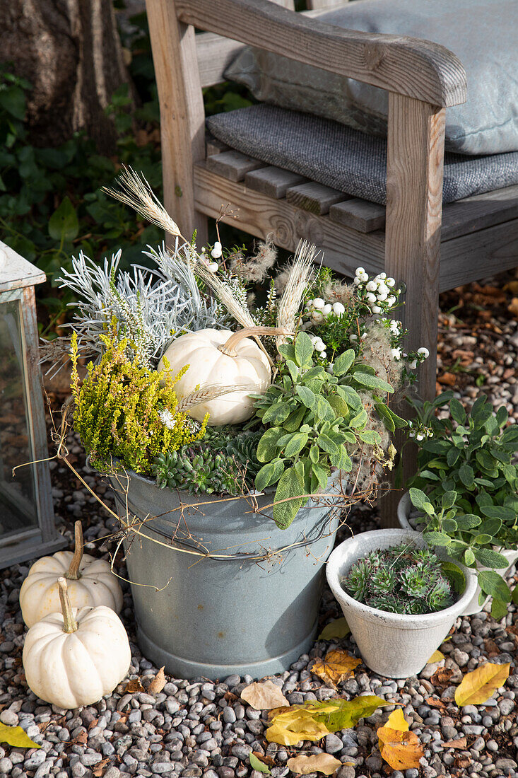 Herbstliche Bepflanzung mit Kürbissen und Heidekraut neben Sitzbereich im Garten