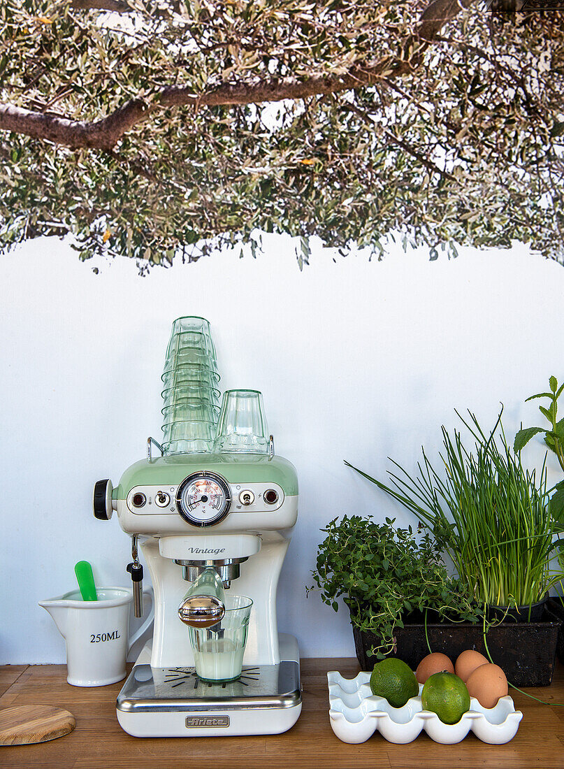 Kitchen worktop with coffee machine, herbs and eggs under olive tree decor