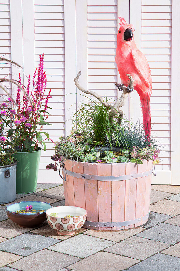 Aquatic planter with plants and decorative bird on the terrace