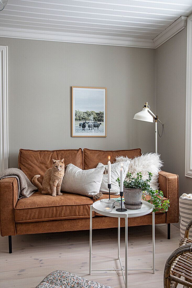 Brown leather sofa with cat and side table with candles and plant in the living room