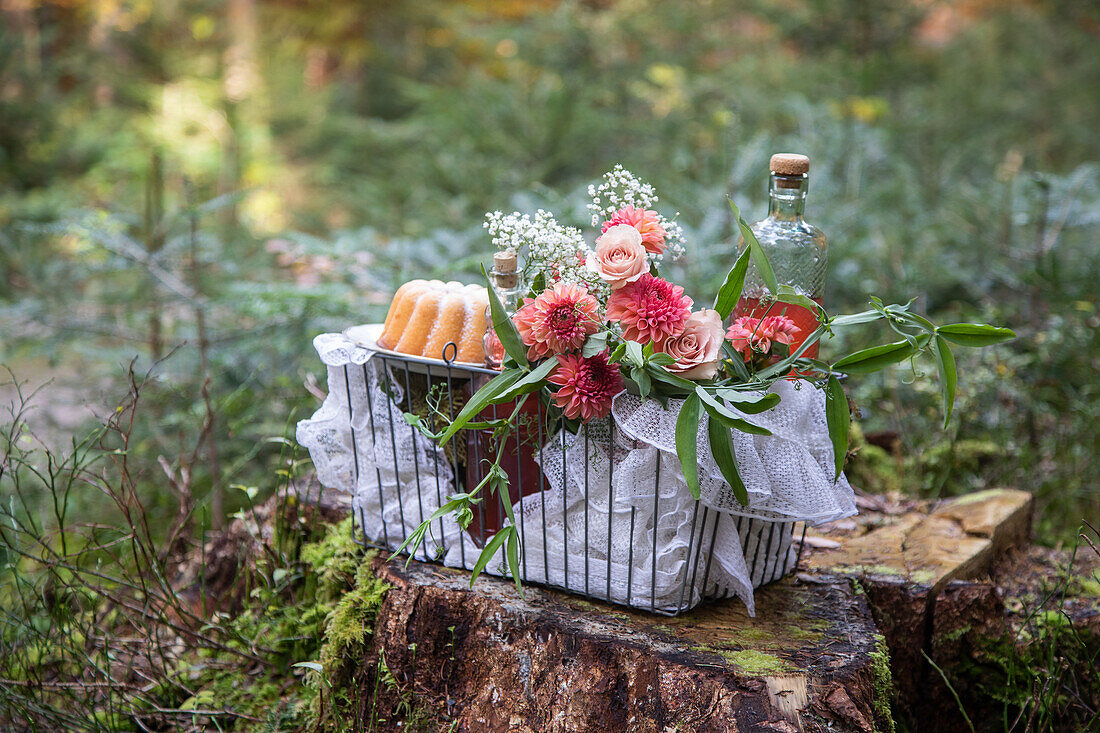 Picknickkorb mit Dahlien (Dahlia) und Gugelhupf im Wald