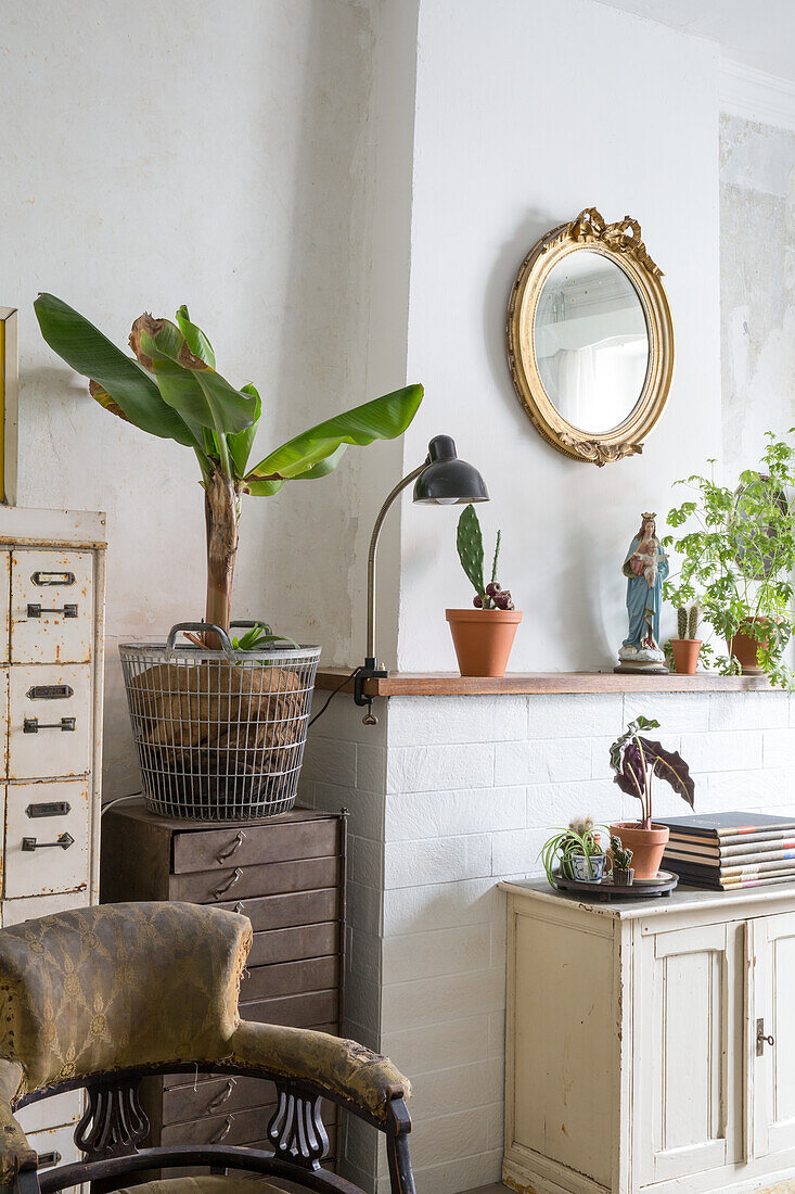 Vintage corner with indoor plants, antique furniture and gold-framed mirror