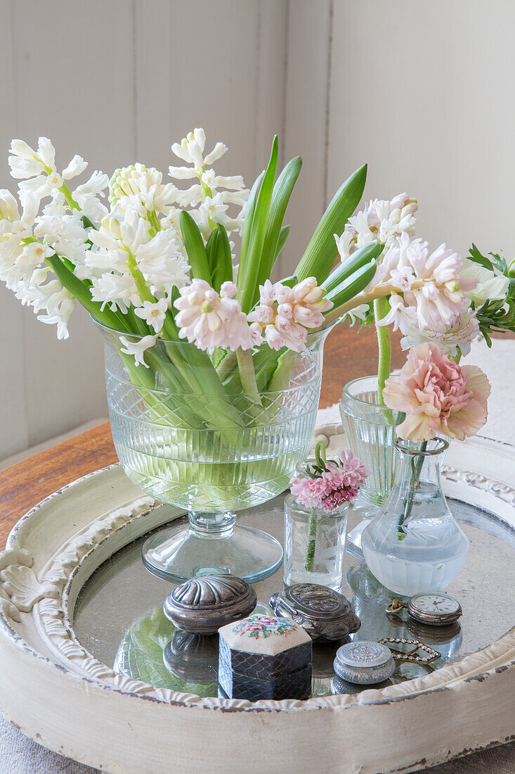 Hyazinthen (Hyacinthus) und Nelken (Dianthus) in Glasvasen auf dekorativem Tablett