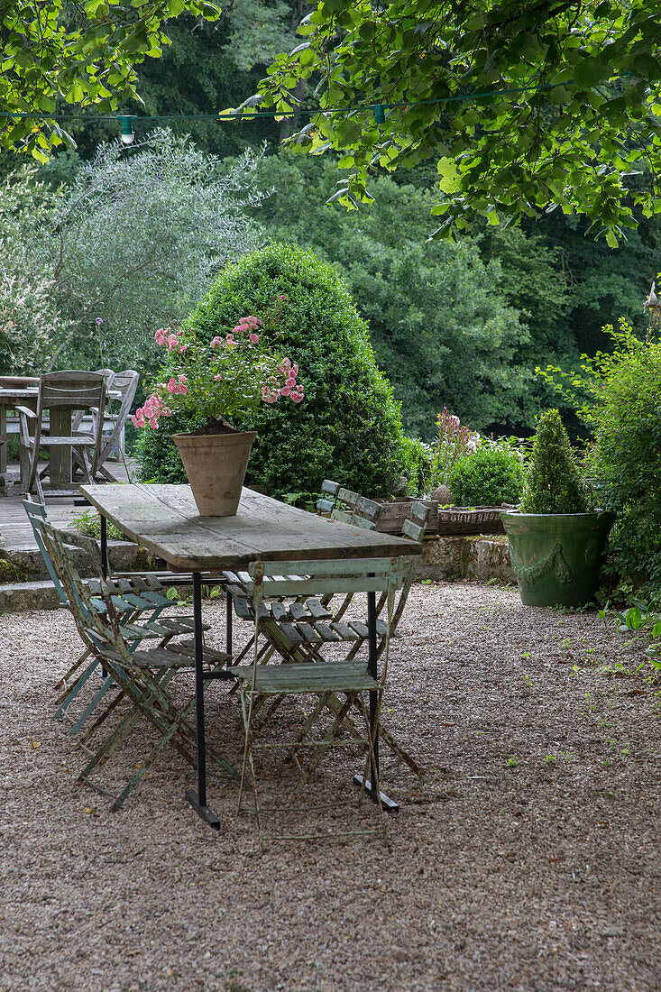 Gartentisch mit Metallstühlen und blühendem Topfrosenstrauch auf Schotterfläche im Garten