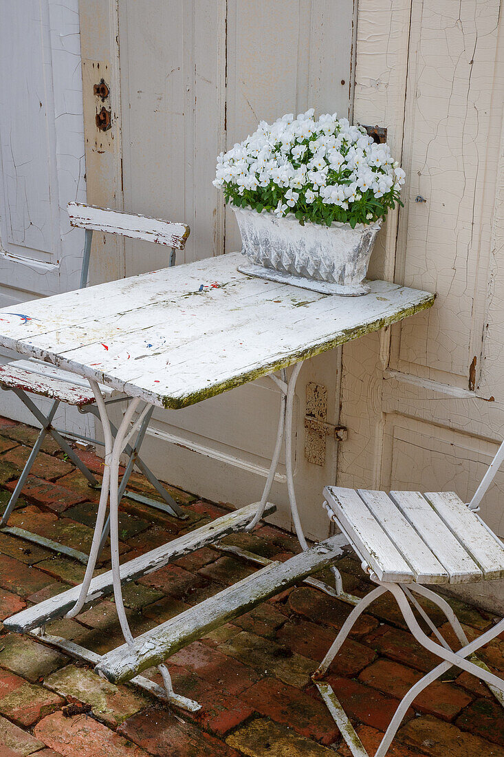 Gartentisch mit weißen Stühlen im Shabby Chic-Look und Petunien (Petunia) in weißem Topf