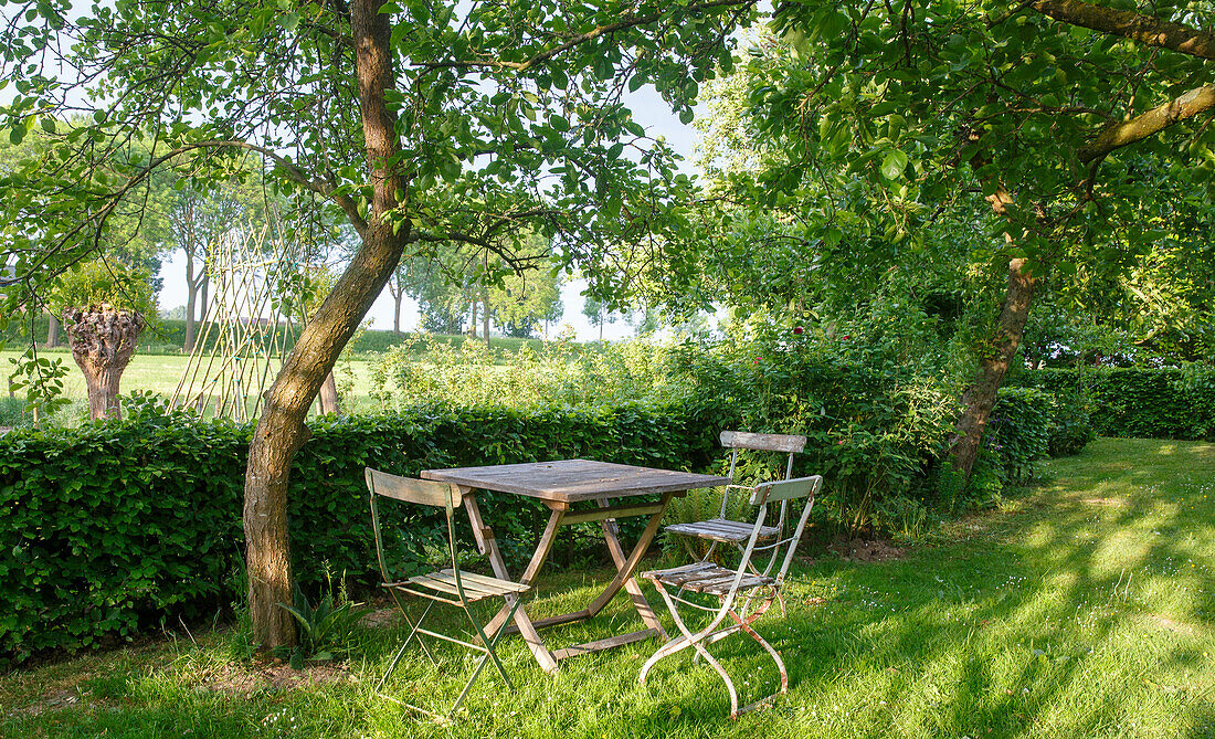 Holztisch und Stühle unter Bäumen im Garten