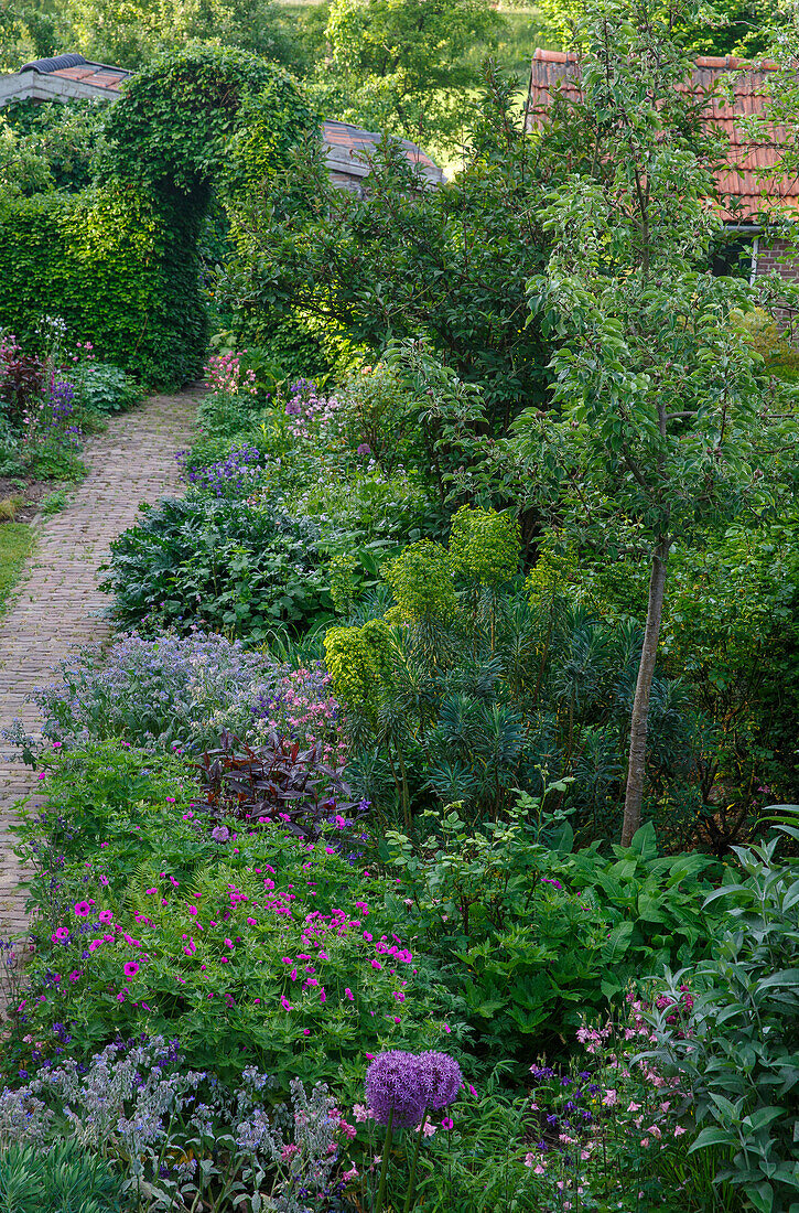 Blühender Garten mit gepflastertem Weg und üppiger Vegetation im Sommer