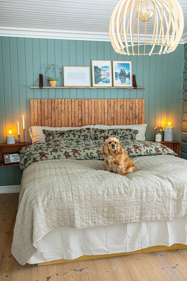 Schlafzimmer mit grüner Holzverkleidung und Hund auf dem Bett