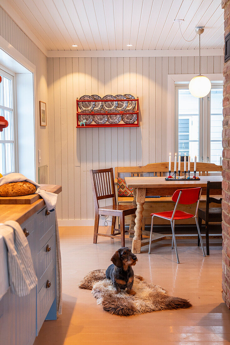 Dog on fur in cozy kitchen with wooden table and candlesticks