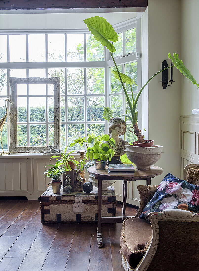 Decorated corner with plants and antique furniture in front of large windows