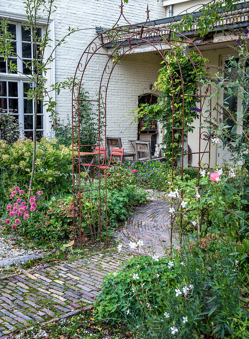 Rosenbogen mit Kletterpflanzen in einem bepflanzten Gartenbereich