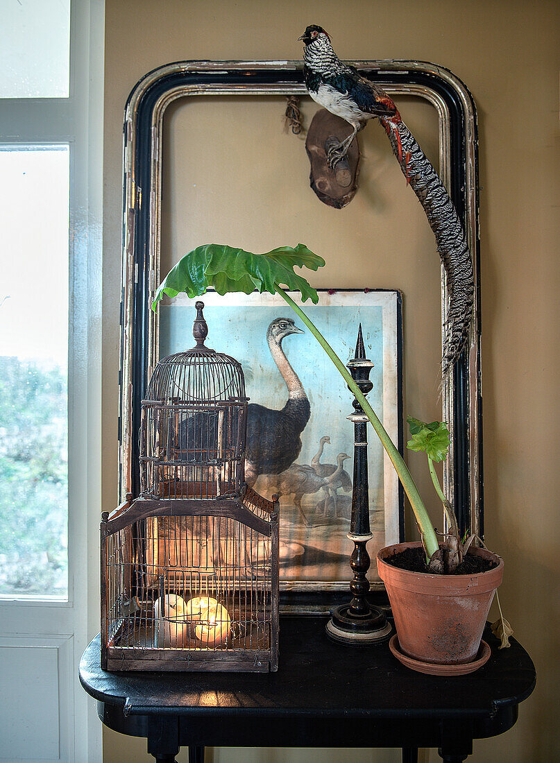 Antique side table with birdcage, plant and stuffed bird